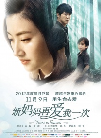国内精品久久久久激情影院